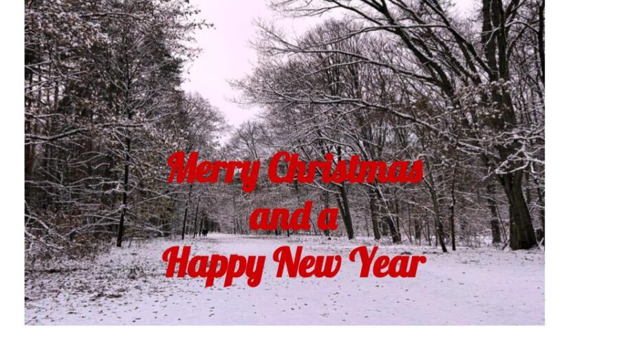 Weihnachten_NY_Webseite_Englisch